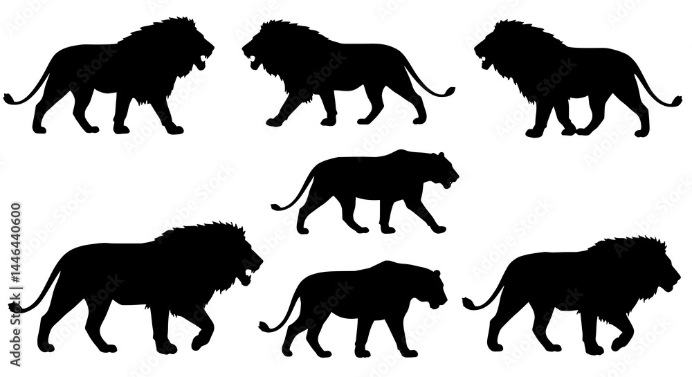 Obraz premium Lion silhouettes in various poses, isolated on white background, SVG vector illustration