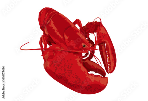 Lobster