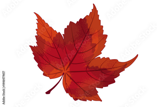 Maple Leaf