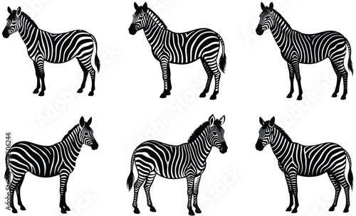 Zebra wild animal silhouette black vector art design set