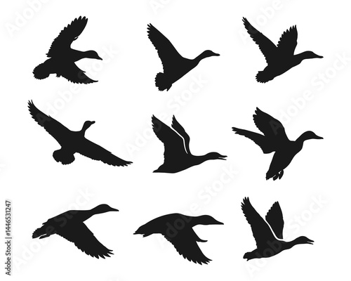 Hand drawn animals silhouette set