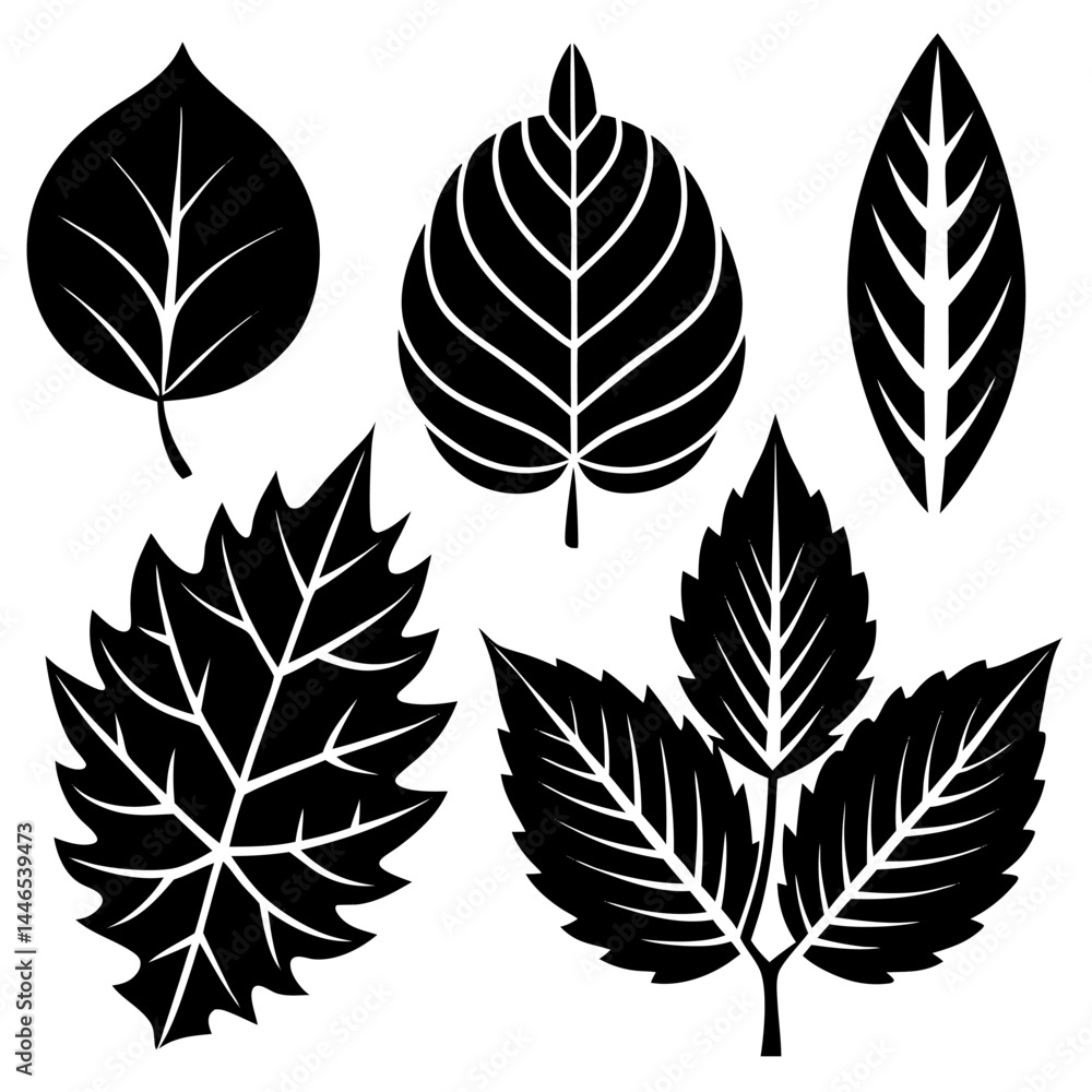 Silhouette Leaf Icons Collection Silhouette Leaf Icons Collection