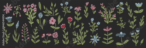 Set chalk botanic blossom floral elements. Branches, leaves, herbs, wild plants, flowers. Hand drawn garden, meadow field collection. Kids freehand vintage pencil textured vector illustration isolated