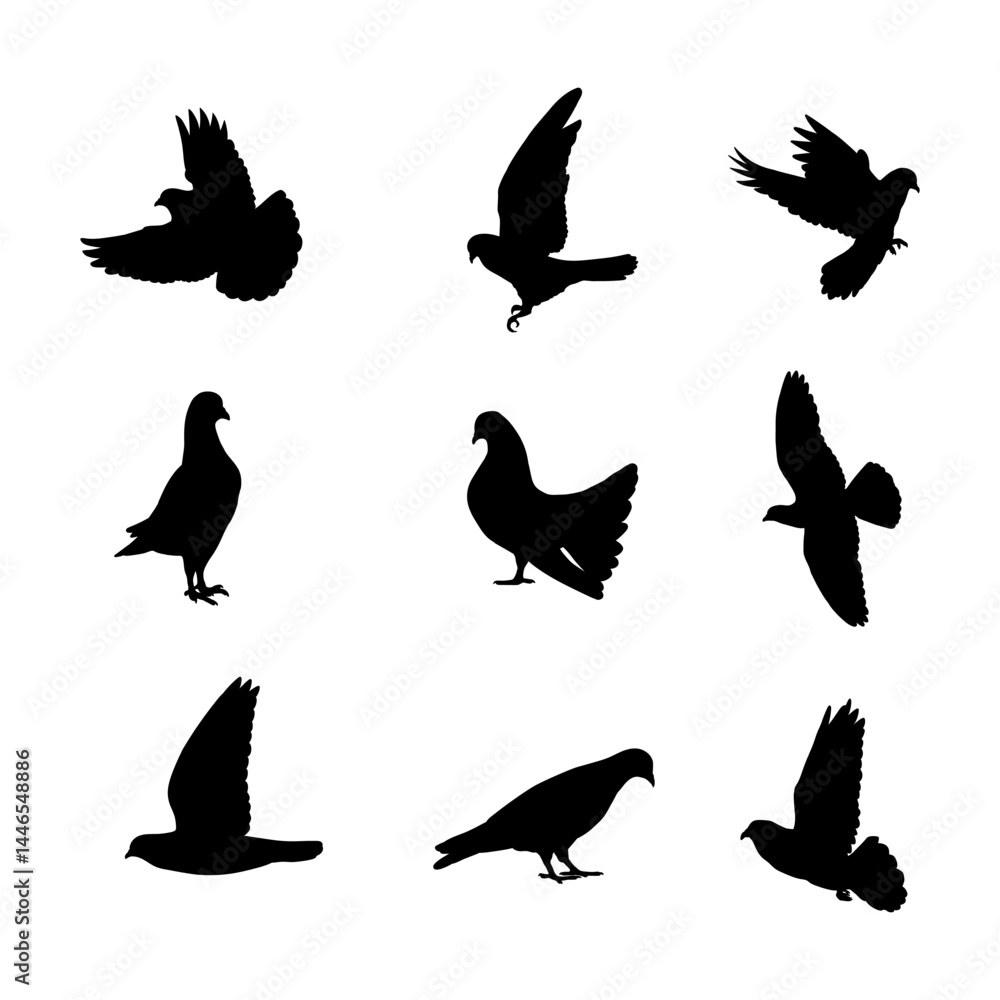 Fototapeta premium Hand drawn animals pigeon silhouette set collection