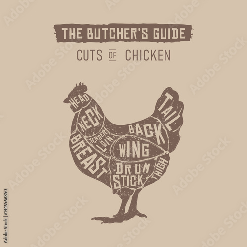 Vintage chicken cuts diagram for culinary and educational use