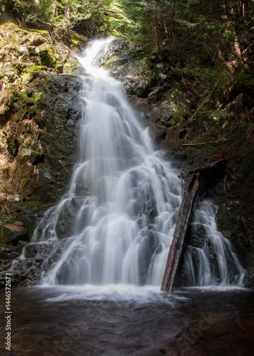 Serene waterfall cascades through lush forest in bright sunlight, creating a tranquil natural oasis for visitors