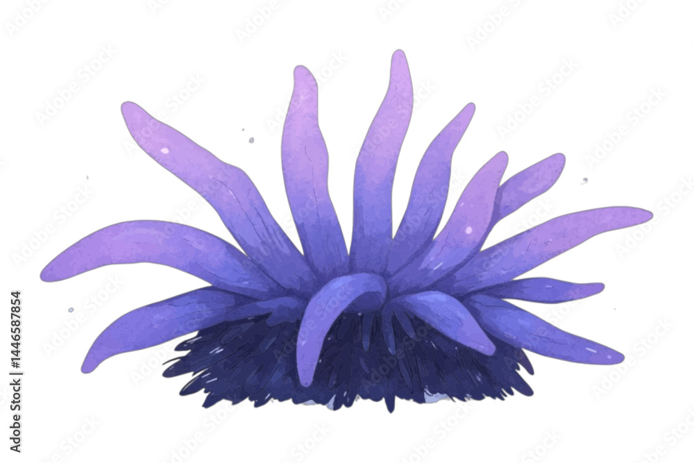 Obraz premium Purple Sea Anemone Illustration, Vibrant illustration of a purple sea anemone.