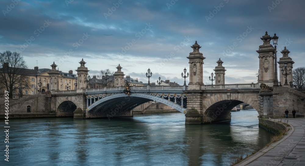 Fototapeta premium Bridge in Paris (Photo)