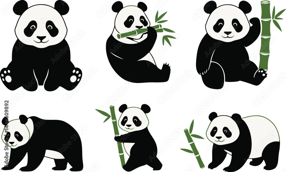 Obraz premium panda and bamboo