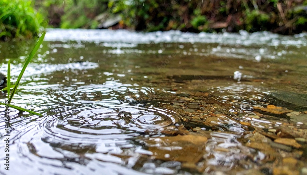 Obraz premium 雨が小川のせせらぎに打ち、波紋が水面に広がる様子が繊細で美しいディテールに映し出される