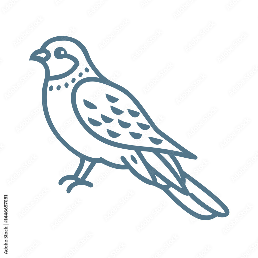 Obraz premium Common Nighthawk Bird Line Art Illustration