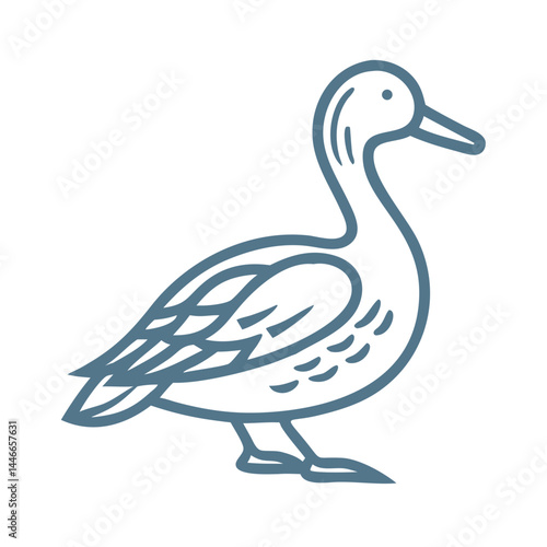 Elegant Pintail Duck Line Art Illustration