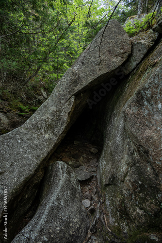 Obraz na płótnie Narrow Tunnel Along The Giant Slide Trail In Acadia w salonie