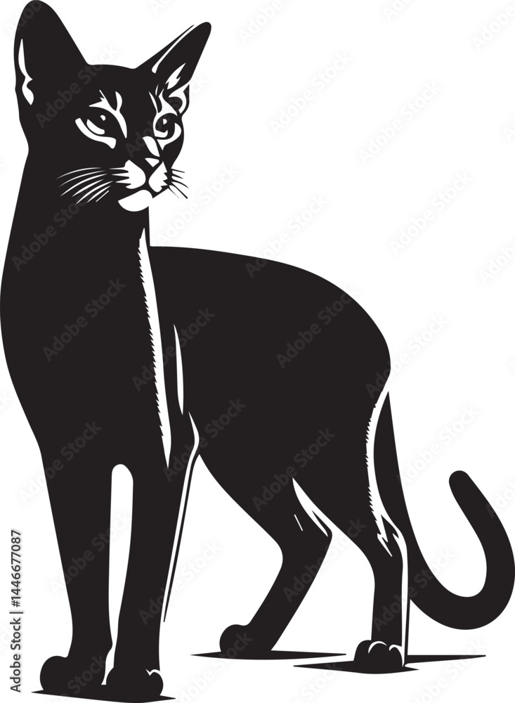 Fototapeta premium cat silhouette vector, cat silhouette drawing, logo vector