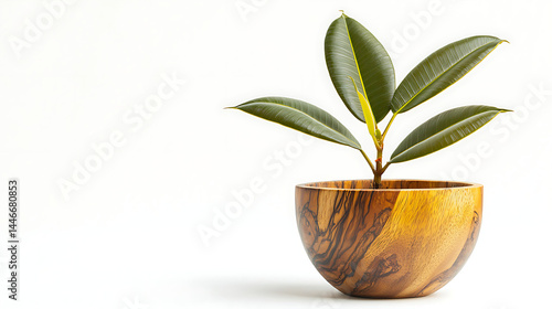 A small green plant is in a wooden bowl