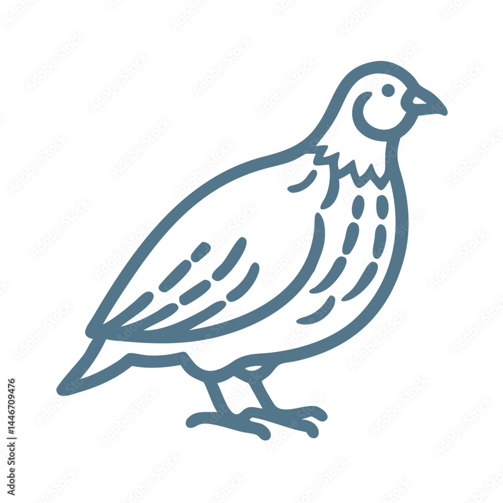 Obraz premium Bobwhite Quail Line Art Illustration
