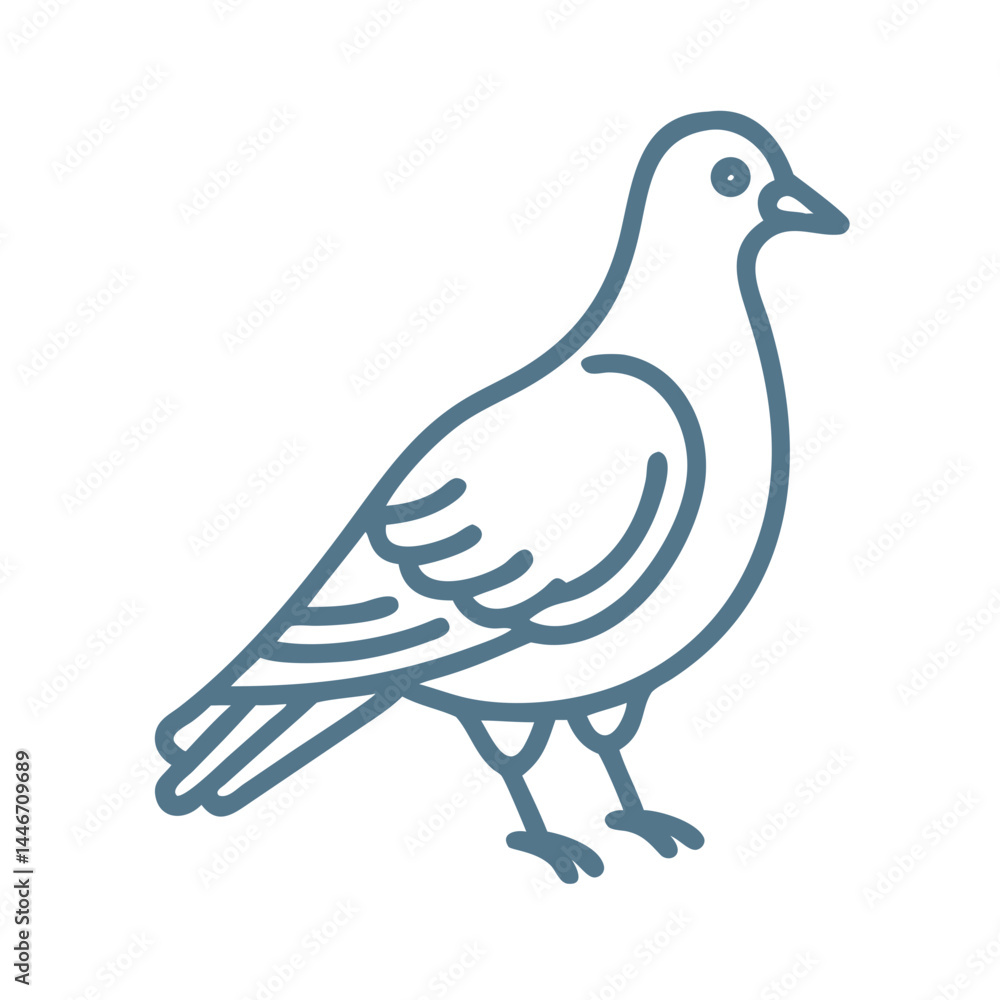 Fototapeta premium Minimalist Rock Dove Line Art Illustration