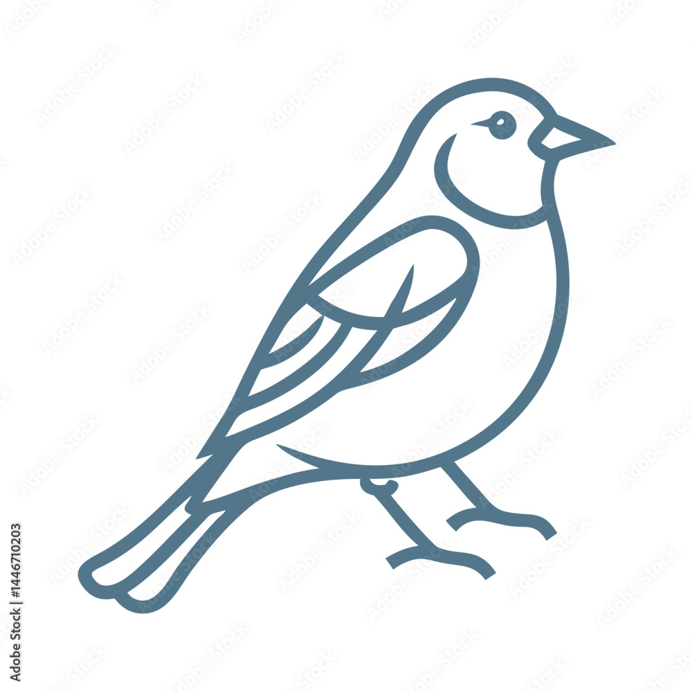 Fototapeta premium Chaffinch Bird Outline Vector Illustration