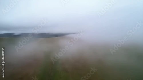 Wallpaper Mural Flying Over Misty Green Field on Overcast Day Aerial View Torontodigital.ca