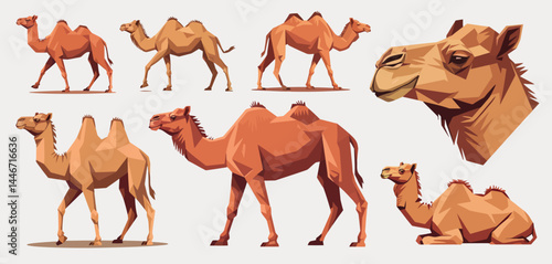 Geometric Camel Illustrations Set Various Poses and Views