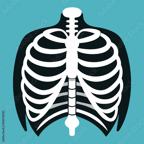 Flat Vector Illustration of a Human Chest X-ray – Medical Radiology, Lungs Scan, Diagnostic Imaging, Transparent Ribcage Anatomy
