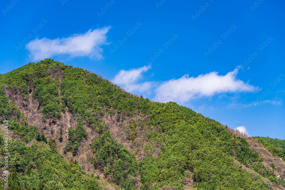 新緑の山肌が見える風景 新緑の山肌が見える風景