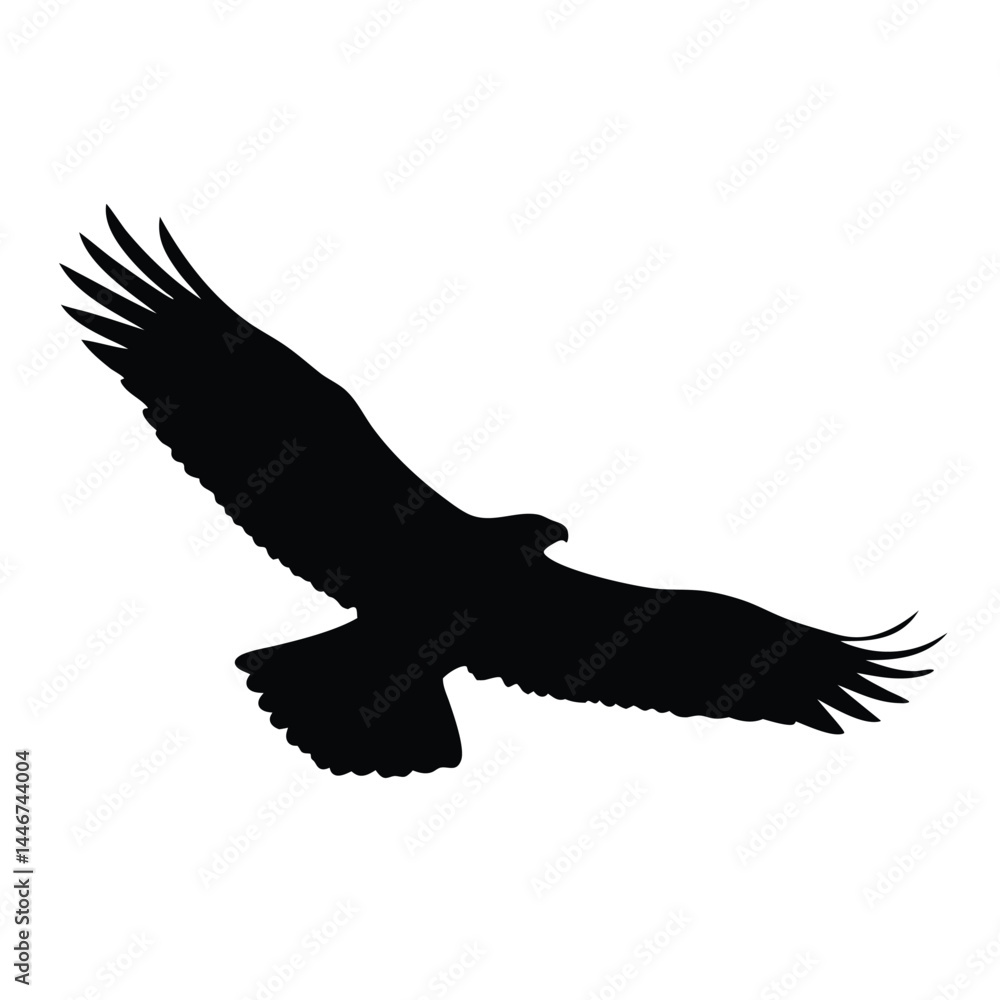 Naklejka premium Silhouette of an eagle flying with spread wings on a white background