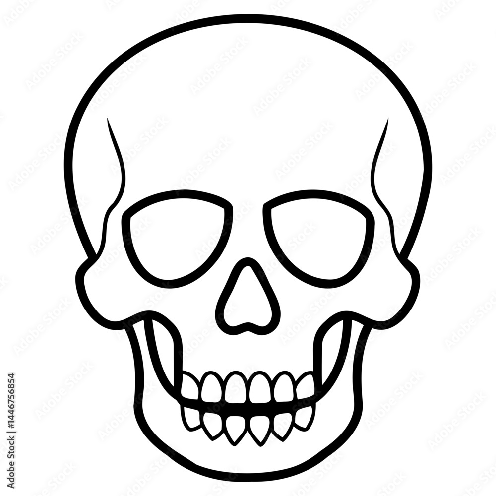 Human skull vector drawing with fine line art isolated on a clear transparent background for artistic projects Human skull vector drawing with fine line art isolated on a clear transparent background for artistic projects