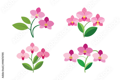 A set of pink orchid flowers vector art illustration