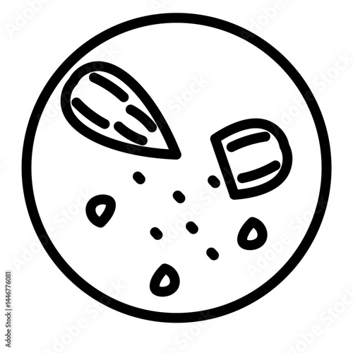 Almond Kernel Closeup Vector Line Icon Design