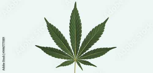 Single Cannabis Leaf on Light Blue Background