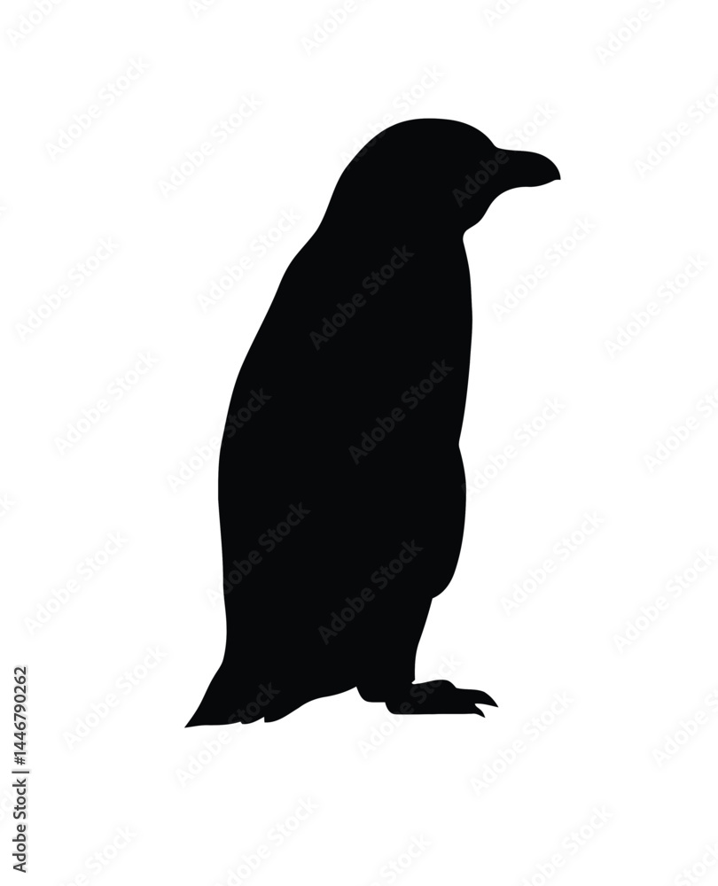 Obraz premium African penguin silhouette. This image shows a black silhouette of an African penguin, also known as a jackass penguin or black-footed penguin, standing upright. Vector clipart illustration design.