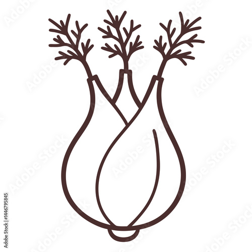 Fennel Bulb Outline Vector Illustration