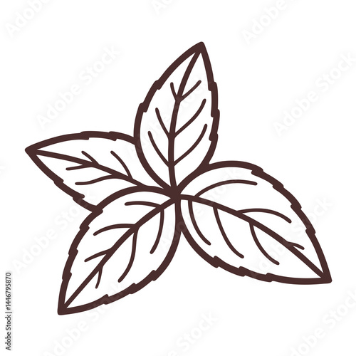 Mint Leaves Outline Drawing Illustration