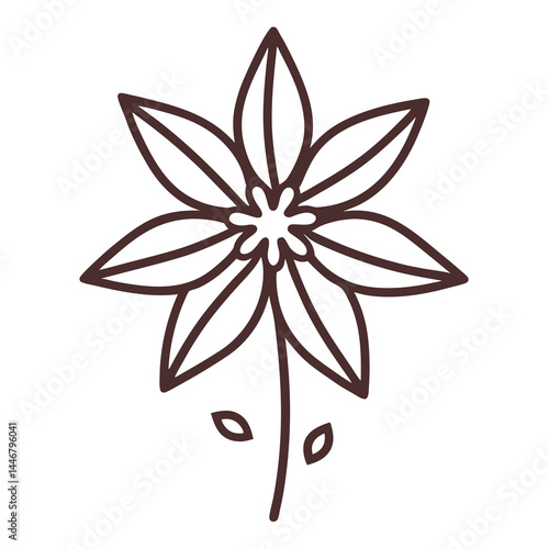 Anise Plant Line Art Illustration