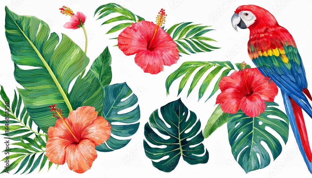 Naklejka premium Beautiful tropical clipart, watercolor parrot, hibiscus flowers and green leaf isolated bac