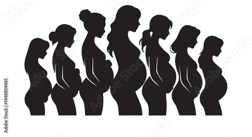 Pregnancy Journey Silhouette – Weekly Growth of Baby Bump in Women
