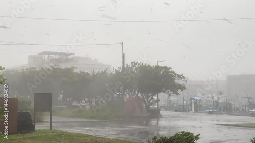 Hurricane Moves In Strong Wind Leaves Flying Through Air - Haikui