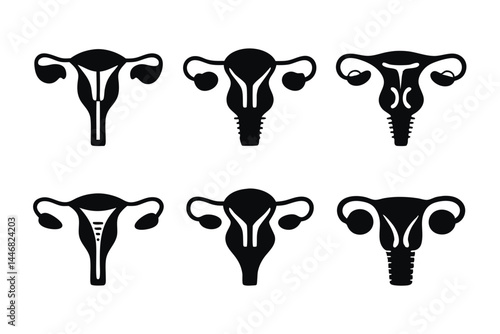 set of female reproductive system icon silhouette vector illustration