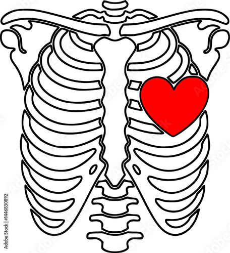 Anatomical Ribcage Illustration with Red Heart Symbol – Minimalist Skeleton Chest and Spine Line Art for Medical, Romantic, or Tattoo Design Concepts