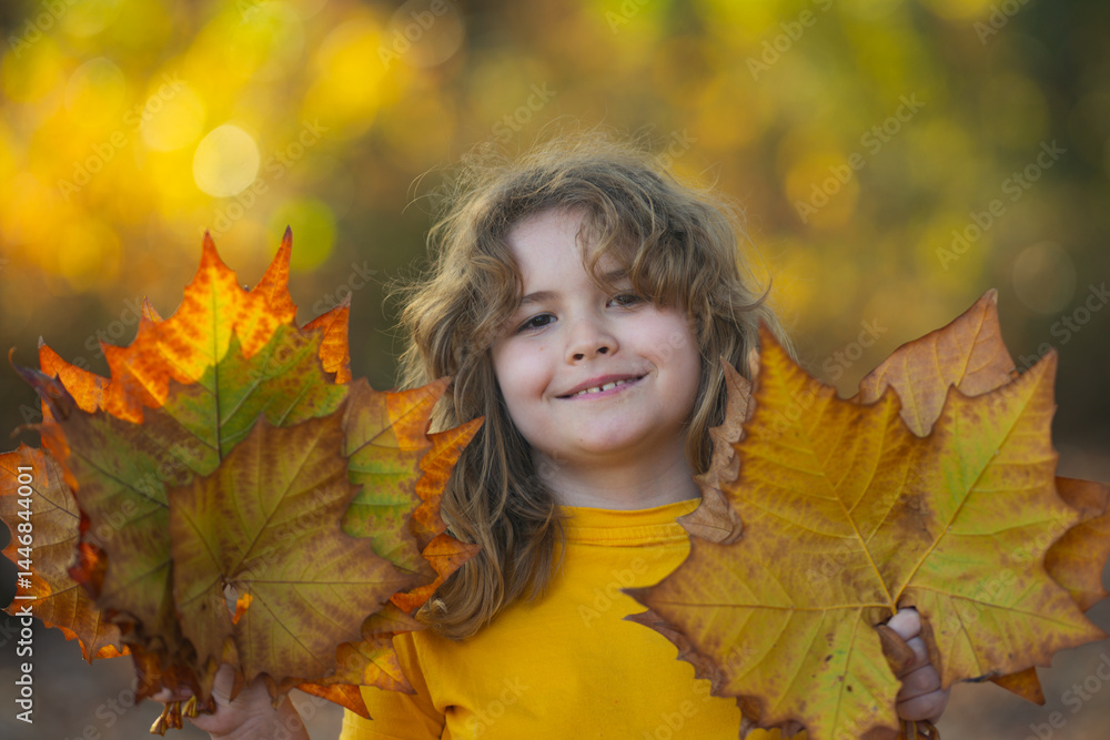 Kids with Autumn leaves of maple trees backdrop. Child near Autumn fall leaves in sunlight. Little kid in Autumnal fall park. Kids and Foliage, falling leaves. Autumn leaf. Falling leaves. Kids with Autumn leaves of maple trees backdrop. Child near Autumn fall leaves in sunlight. Little kid in Autumnal fall park. Kids and Foliage, falling leaves. Autumn leaf. Falling leaves.