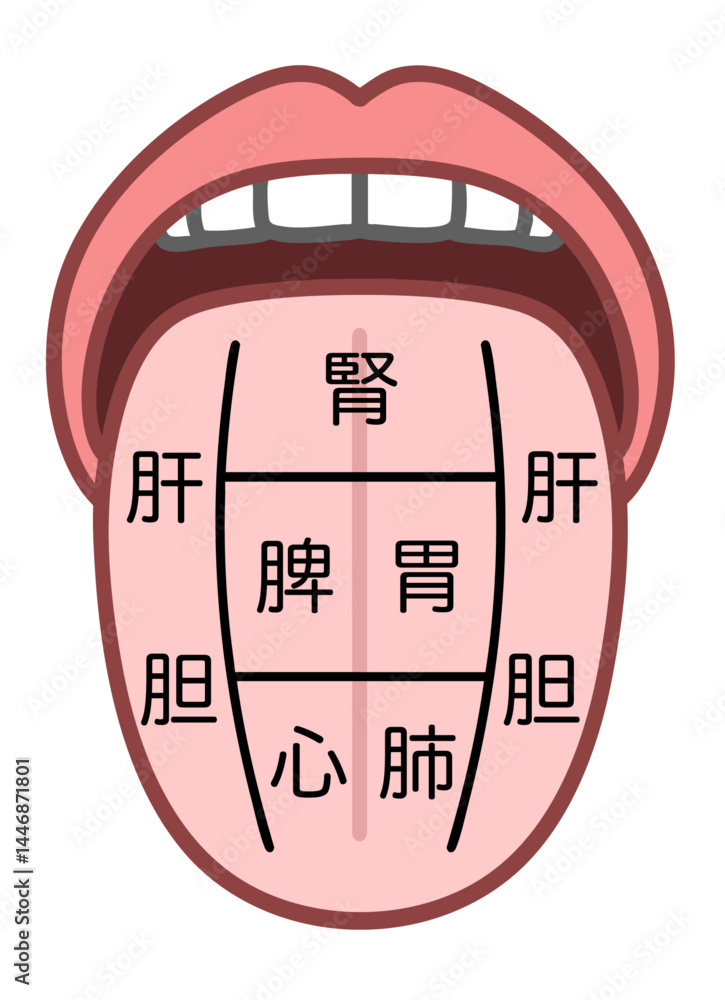 Naklejka premium 東洋医学の舌診イラスト、舌でわかる臓器の健康状態