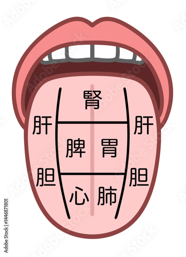 東洋医学の舌診イラスト、舌でわかる臓器の健康状態