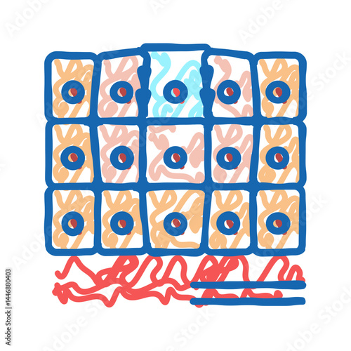 epithelial tissue icon doodle illustration