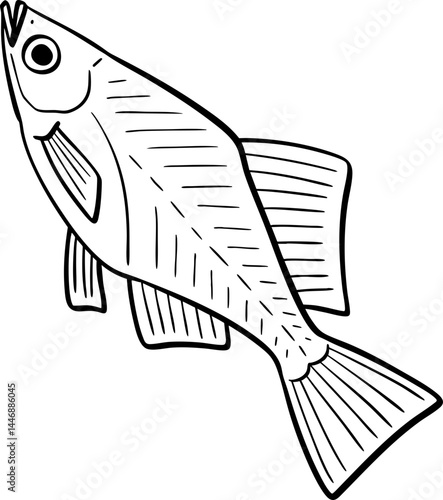 hand drawn cartoon illustration of a fish.