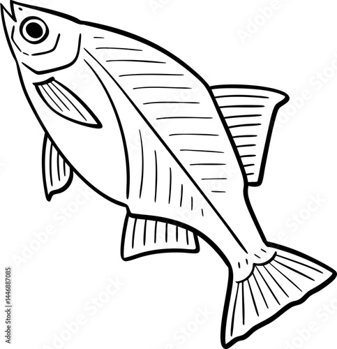 hand drawn cartoon illustration of a fish.