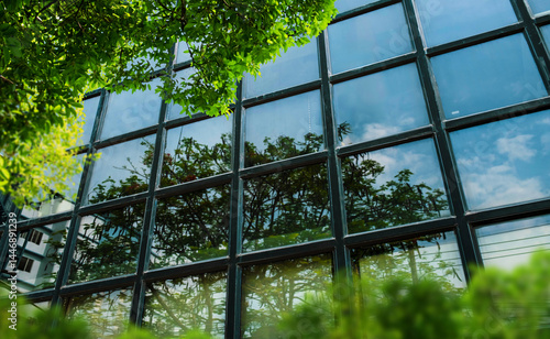 Modern glass office with big trees around to reduce heat in the building. Eco-friendly building. Sustainability concept