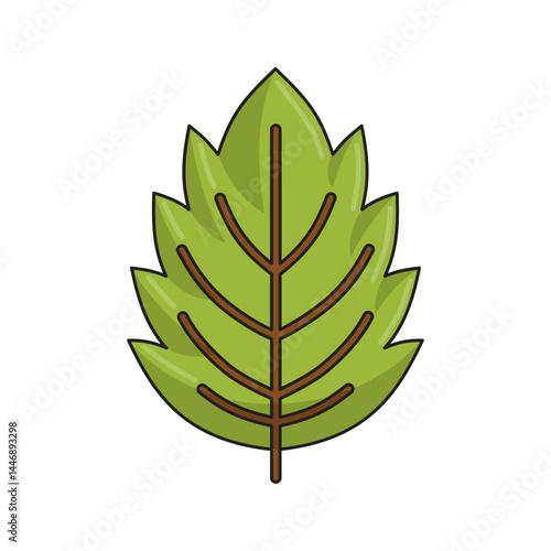 Birch Leaf