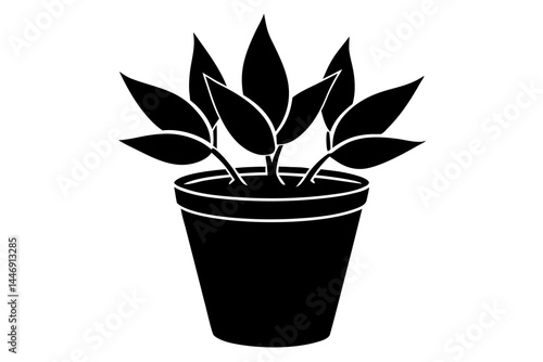 plant in pot silhouette vector,