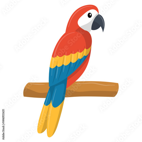 Macaw